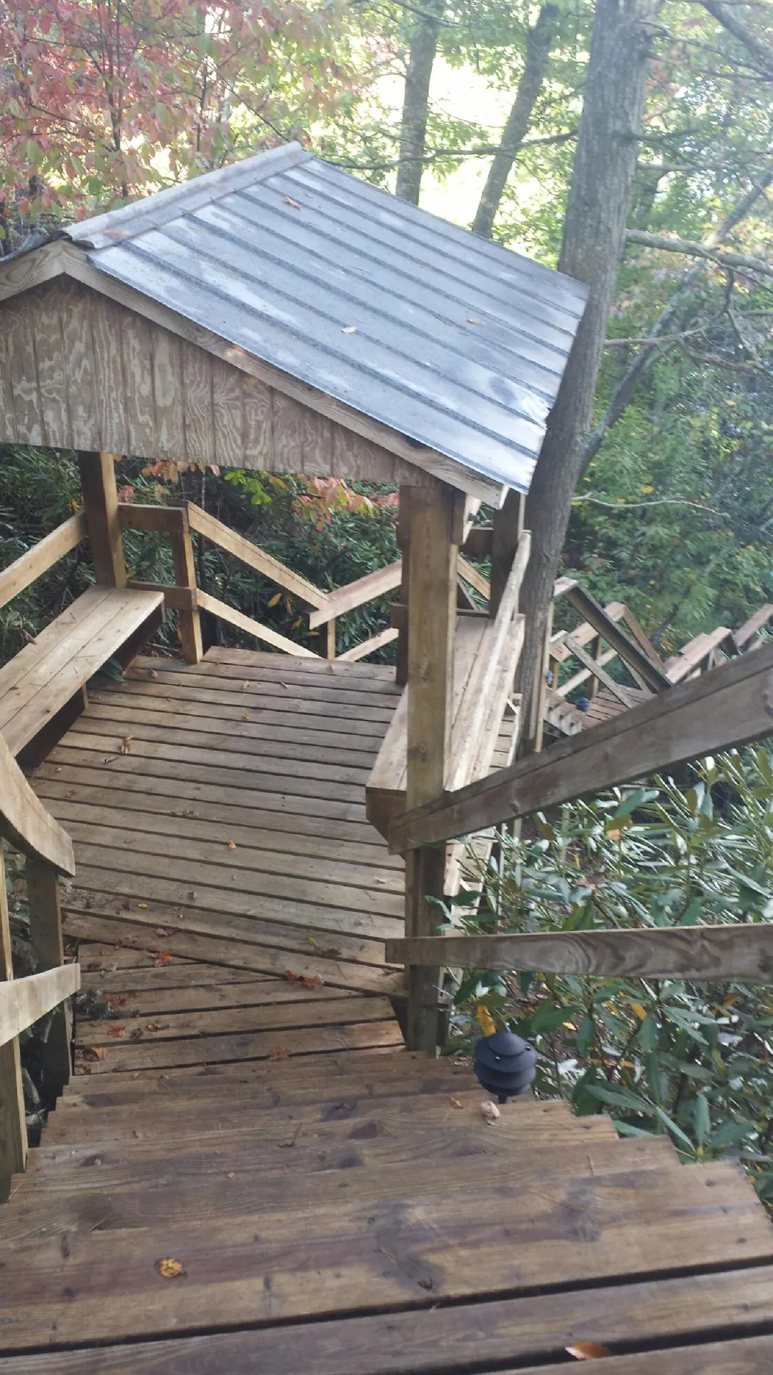 Metal roofed shelter over wooden steps on a wooded walkway — Skylight Repair & Installation work by our crew in Parachute